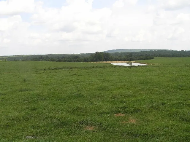 $5,000,000 | 0 State Route 8, McMinnville, TN 37110