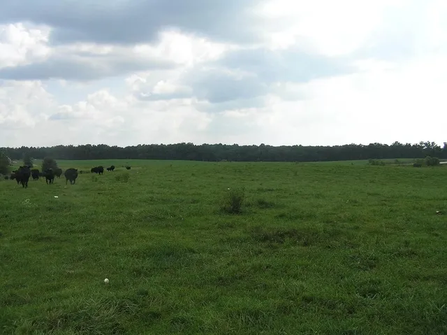 $5,000,000 | 0 State Route 8, McMinnville, TN 37110