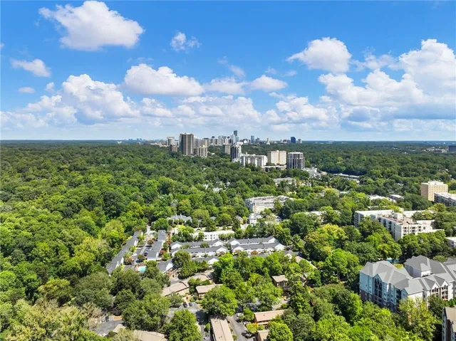 a view of a tree in a backyard of a house