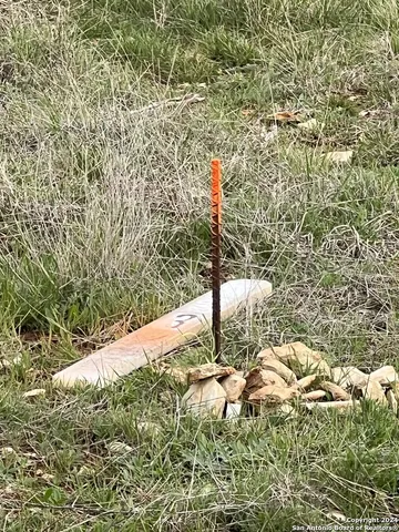 a backyard of a house with a tree