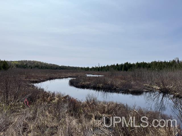 40-acres Little Lake Road Gwinn, MI 49841 - Photo 2 of 25