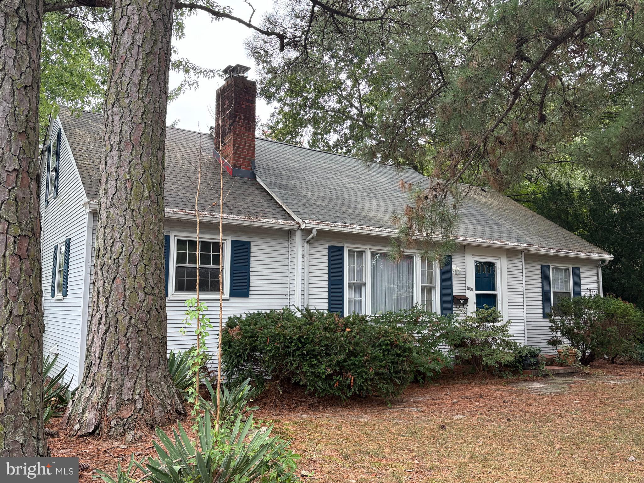 1001 Riverside Drive Salisbury, MD 21801 - Photo 46 of 47 a front view of a house with garden