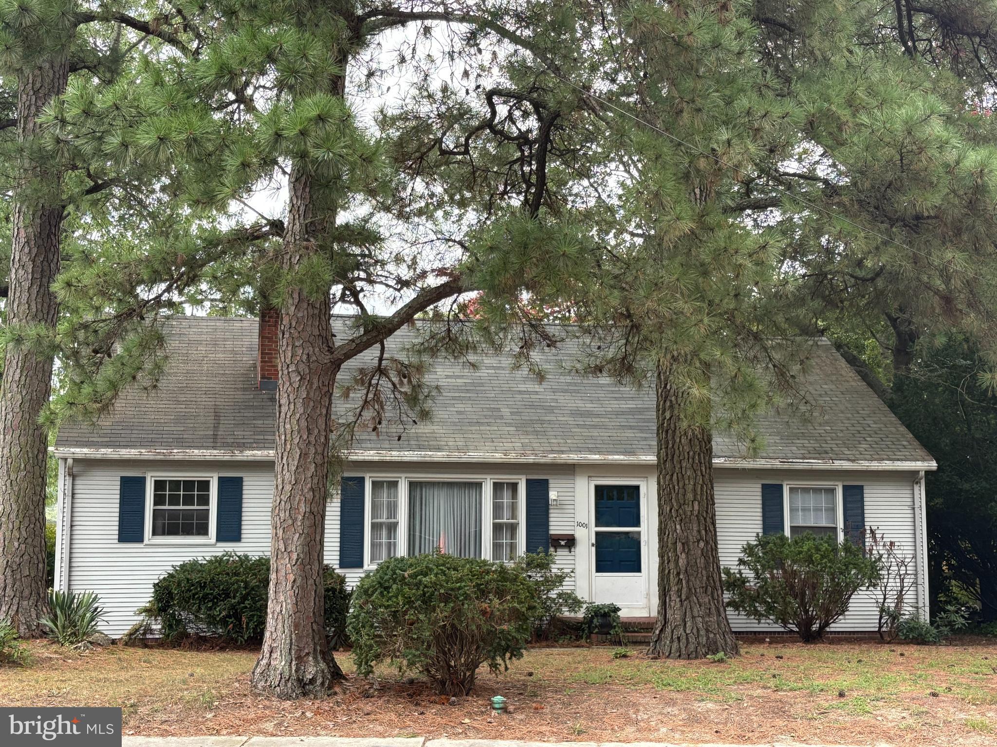 1001 Riverside Drive Salisbury, MD 21801 - Photo 47 of 47 a front view of a house with yard tree and glass windows