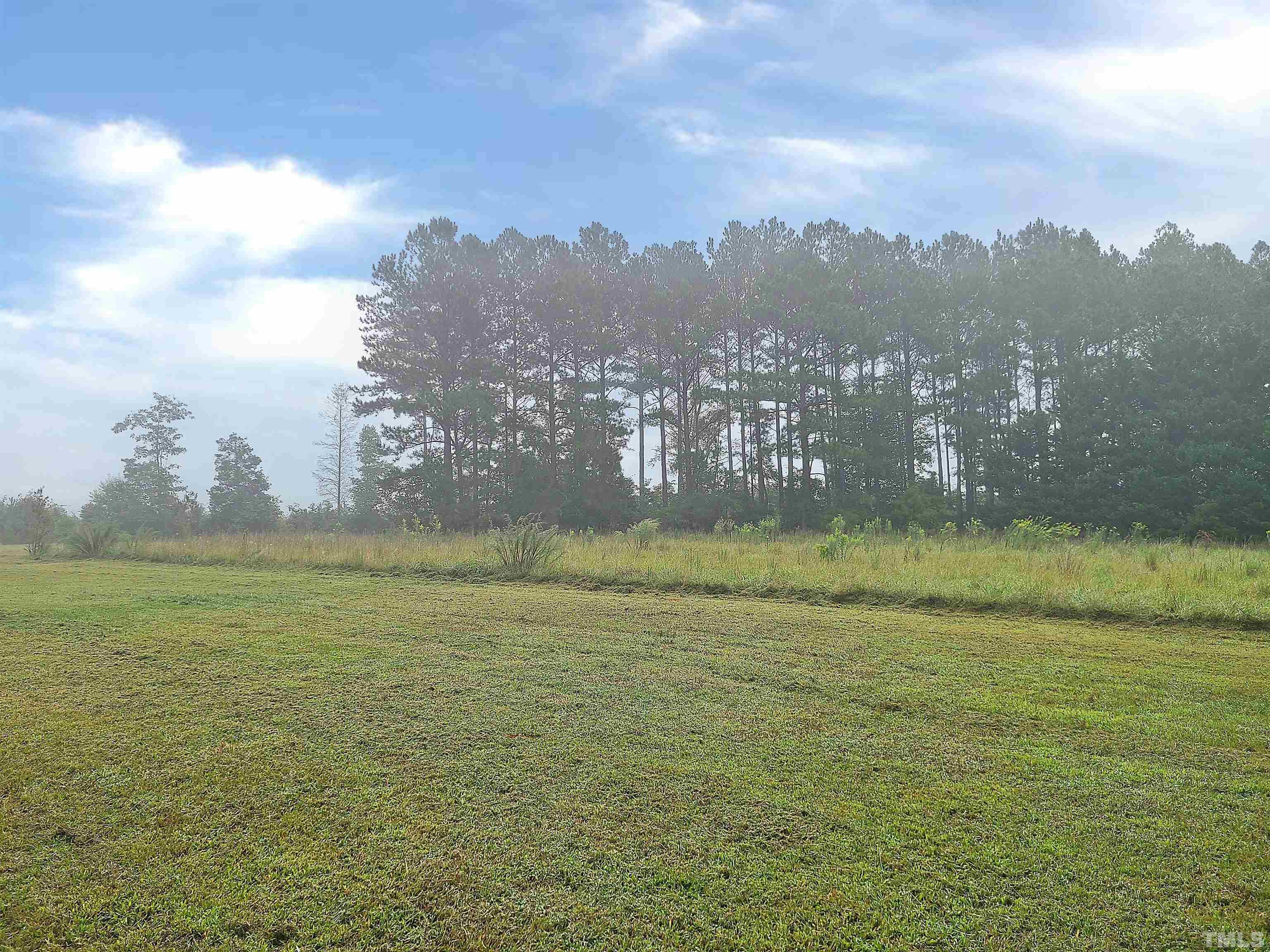 95 Moore Perkerson Road Spring Hope, NC 27882 - Photo 3 of 31 a view of a city