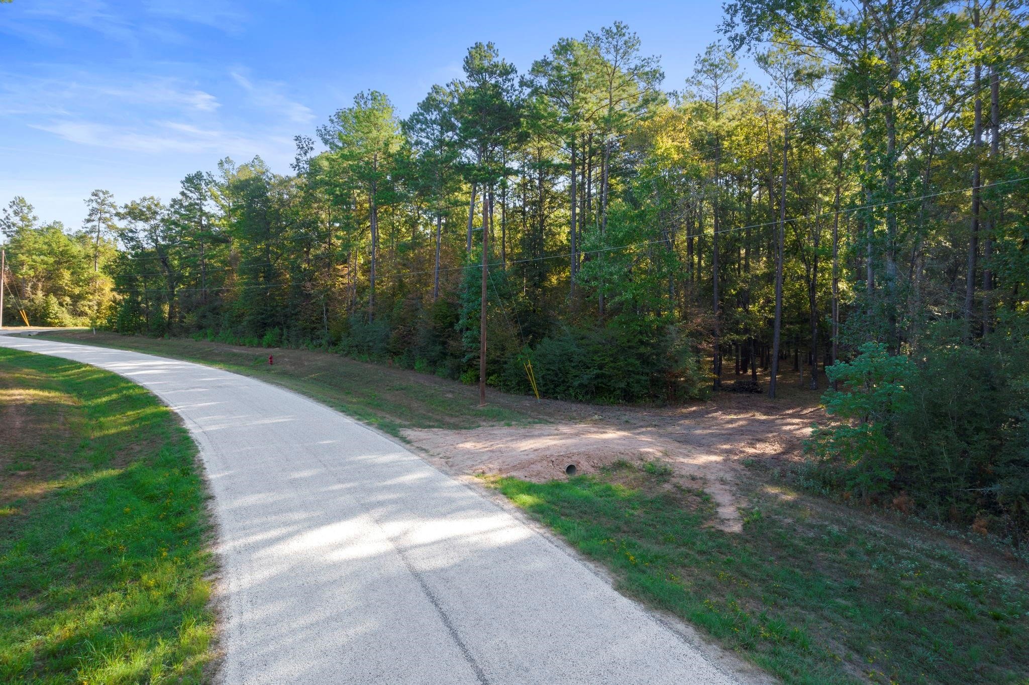 244 Remington Road Huntsville, TX 77340 - Photo 6 of 16