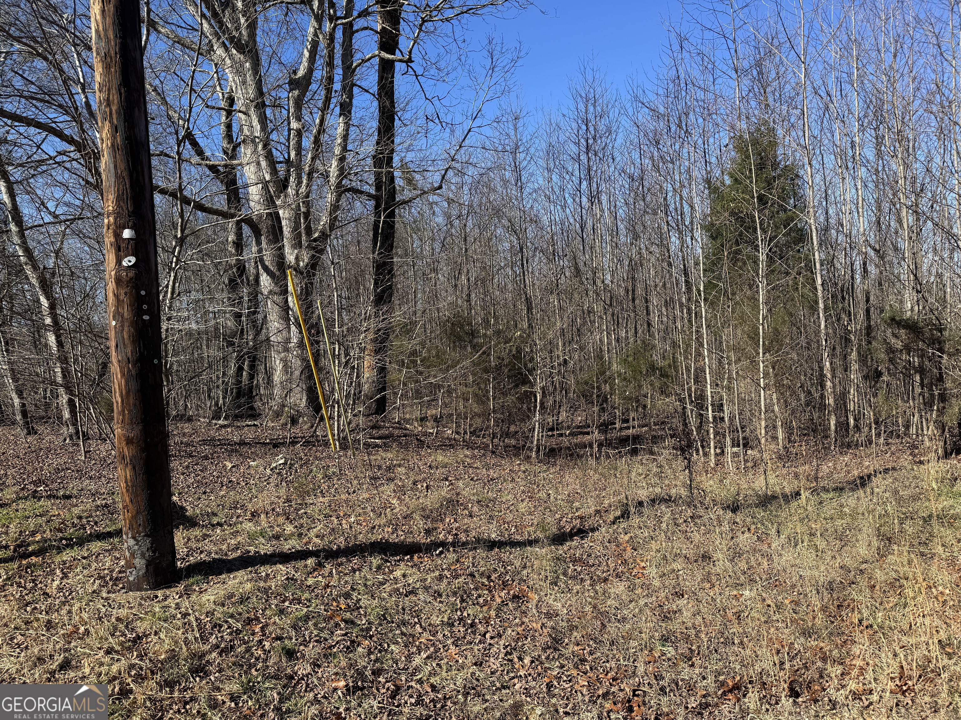 33 Riverhaven Lane Menlo, GA 30731 - Photo 2 of 9