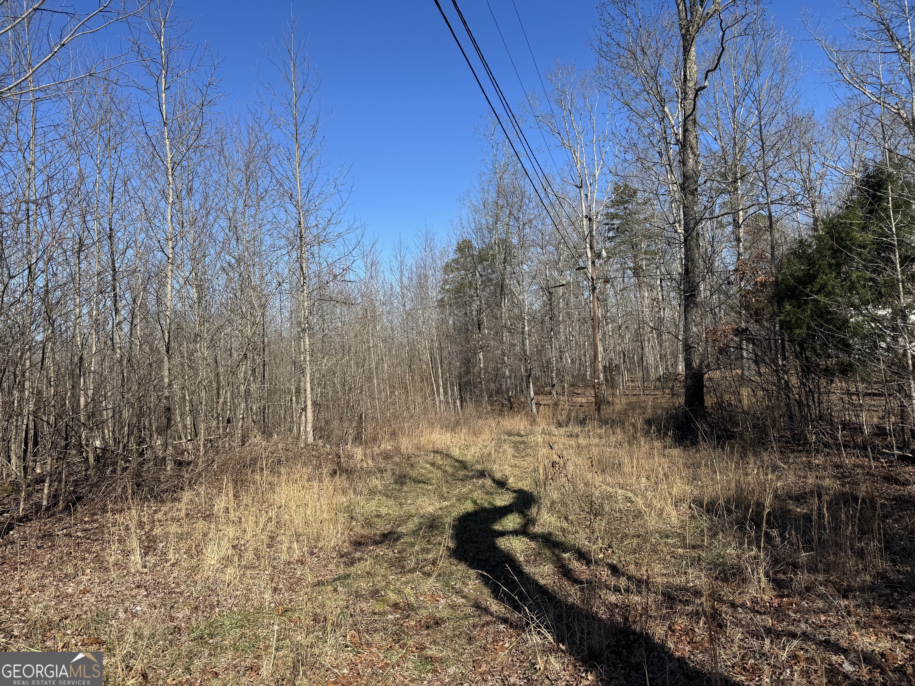 33 Riverhaven Lane Menlo, GA 30731 - Photo 3 of 9