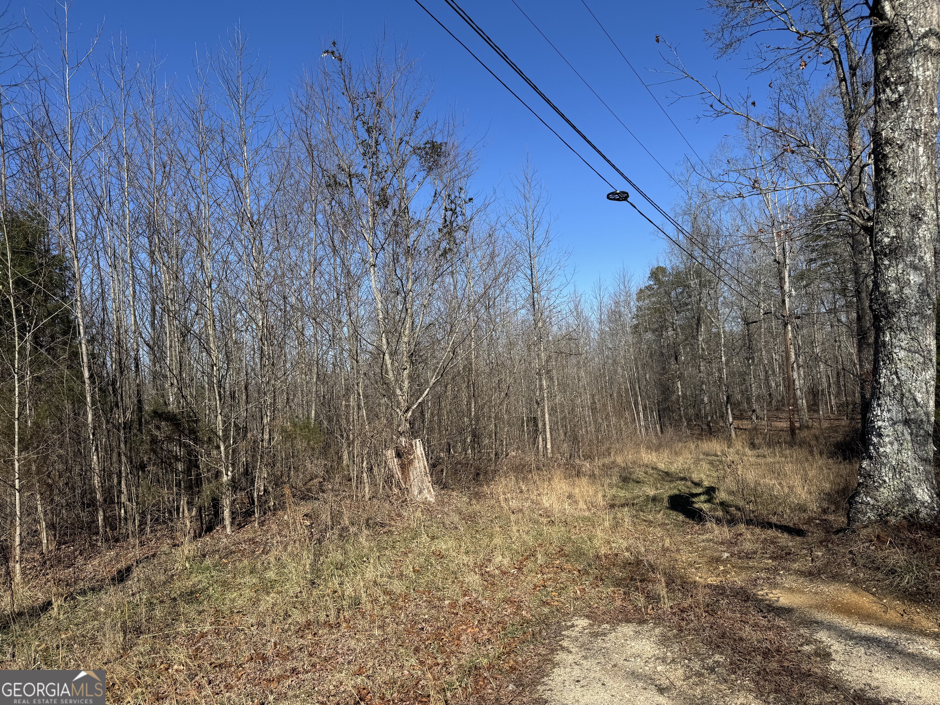 33 Riverhaven Lane Menlo, GA 30731 - Photo 8 of 9