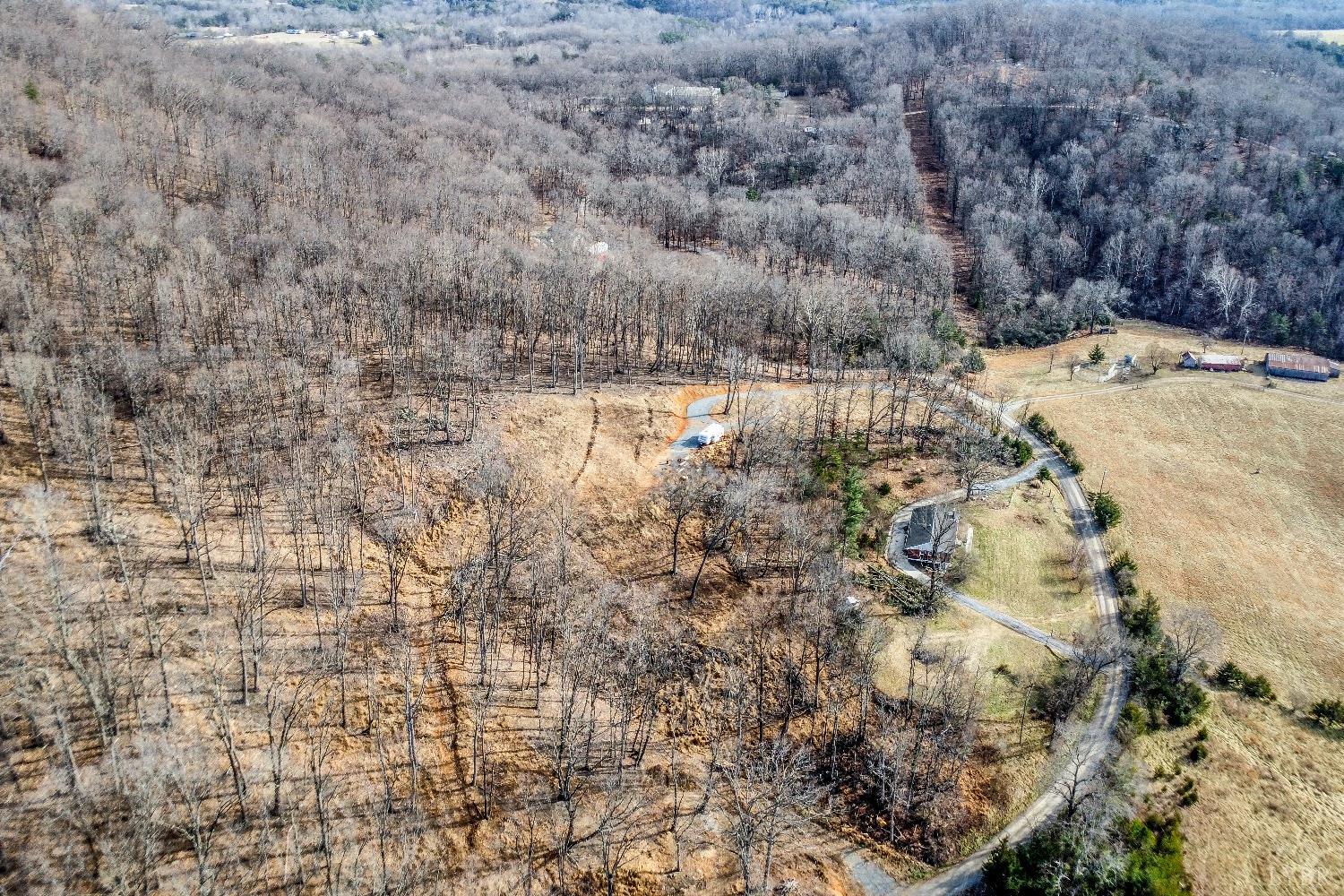 -lot 5 Pilot Mountain Road Moneta, VA 24121 - Photo 8 of 15