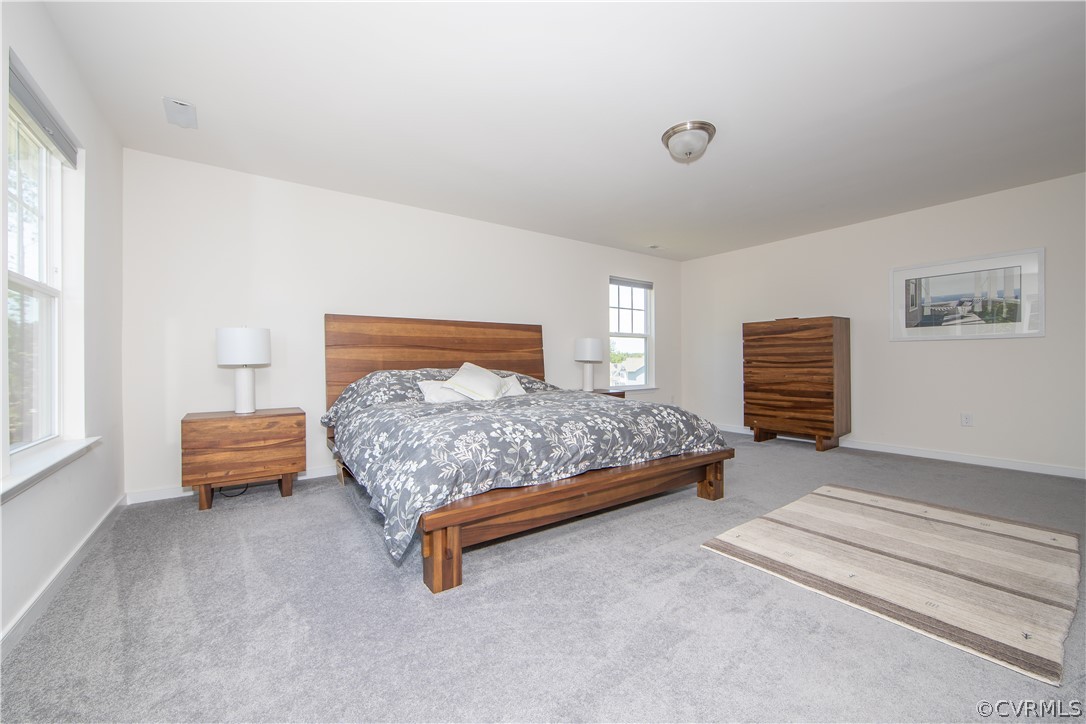15525 Wolfboro Road Chesterfield, VA 23832 - Photo 18 of 35 Primary Bedroom