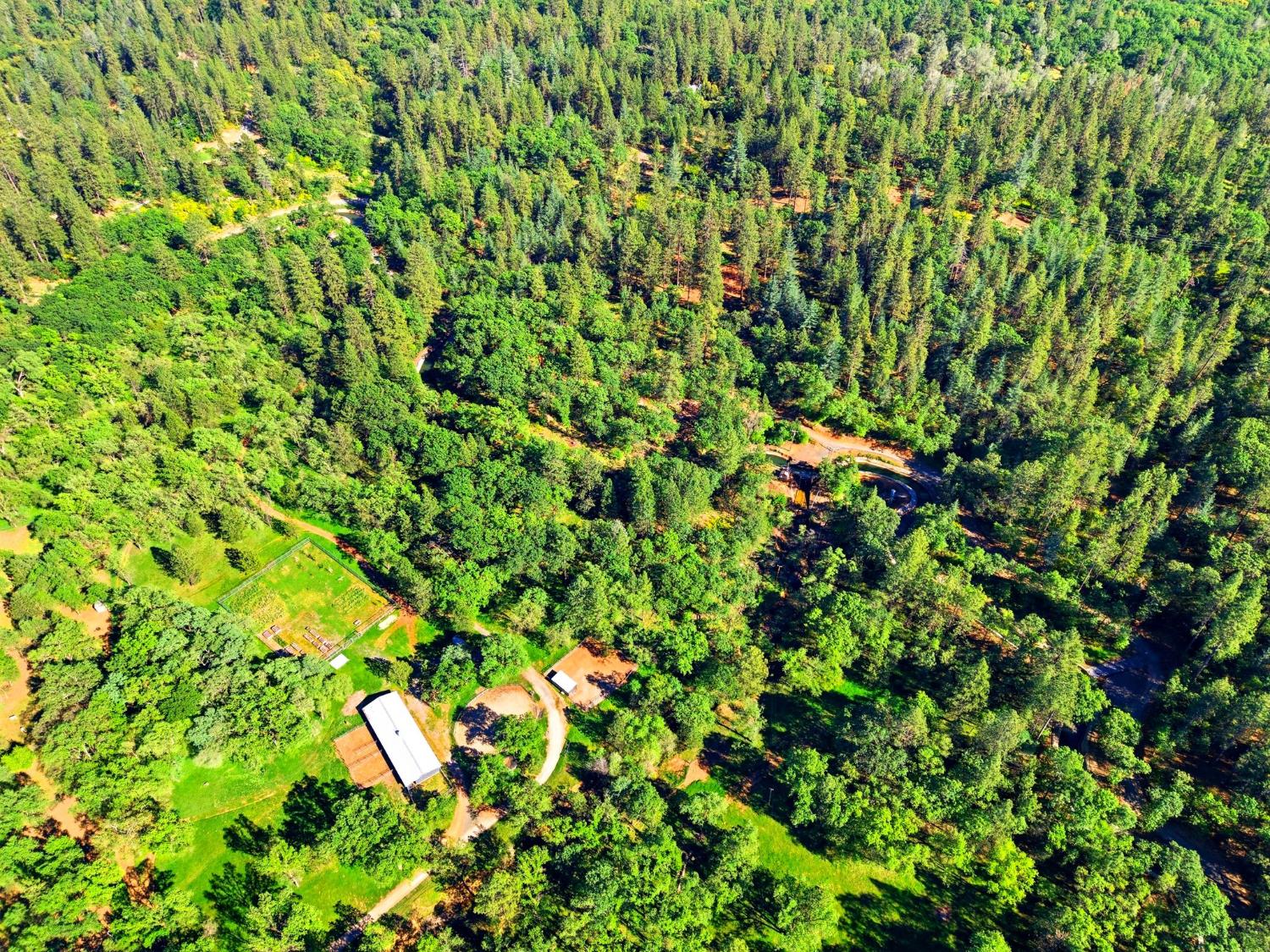 0 Placer Hills Road Meadow Vista, CA 95722 - Photo 4 of 5