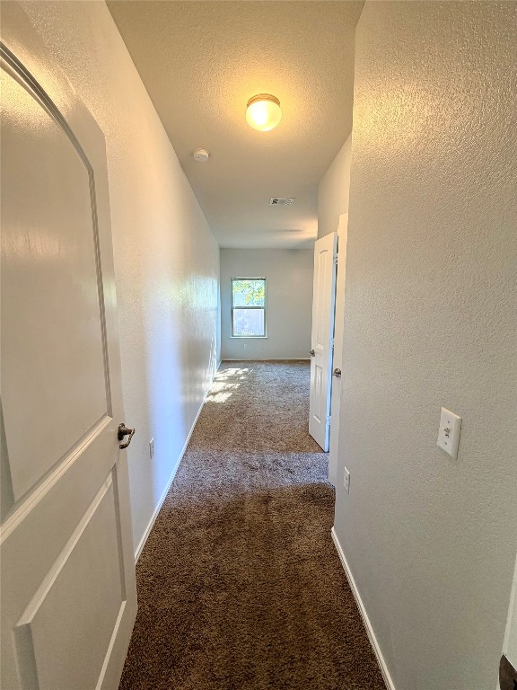 10204 Pinnacle Crest Loop Austin, TX 78747 - Photo 13 of 19 a view of entryway with window