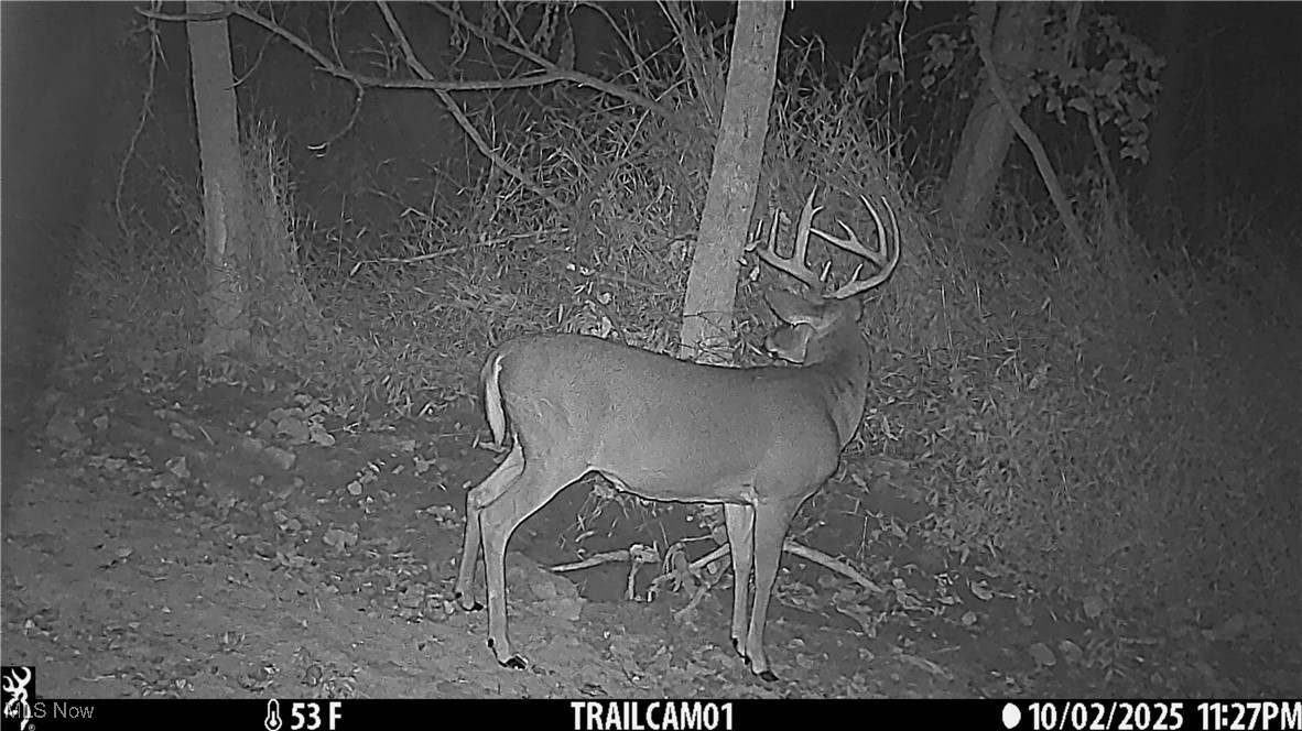 Perl Road Chandlersville, OH 43727 - Photo 6 of 48