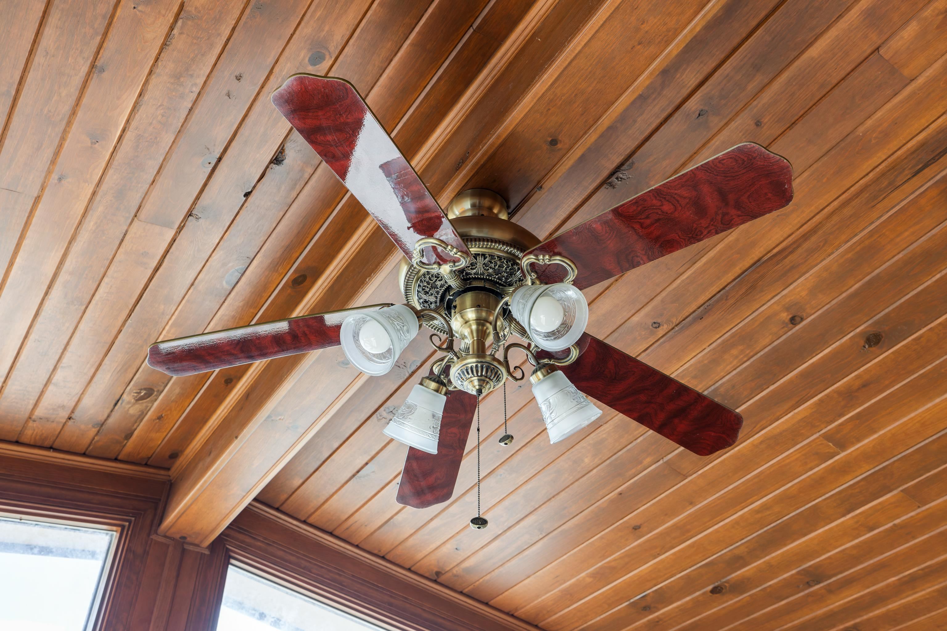 355 Fairburn Road Mount Solon, VA 22843 - Photo 33 of 74