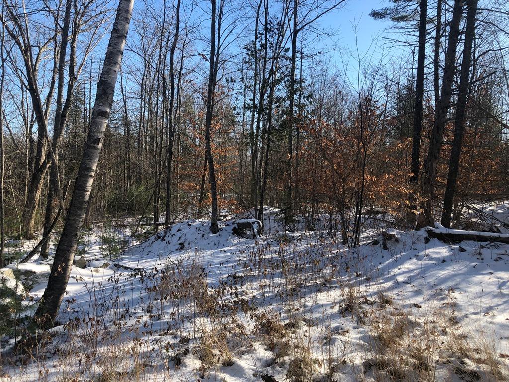 0 Town Farm Road Anson, ME 04911 - Photo 15 of 32 14 lot