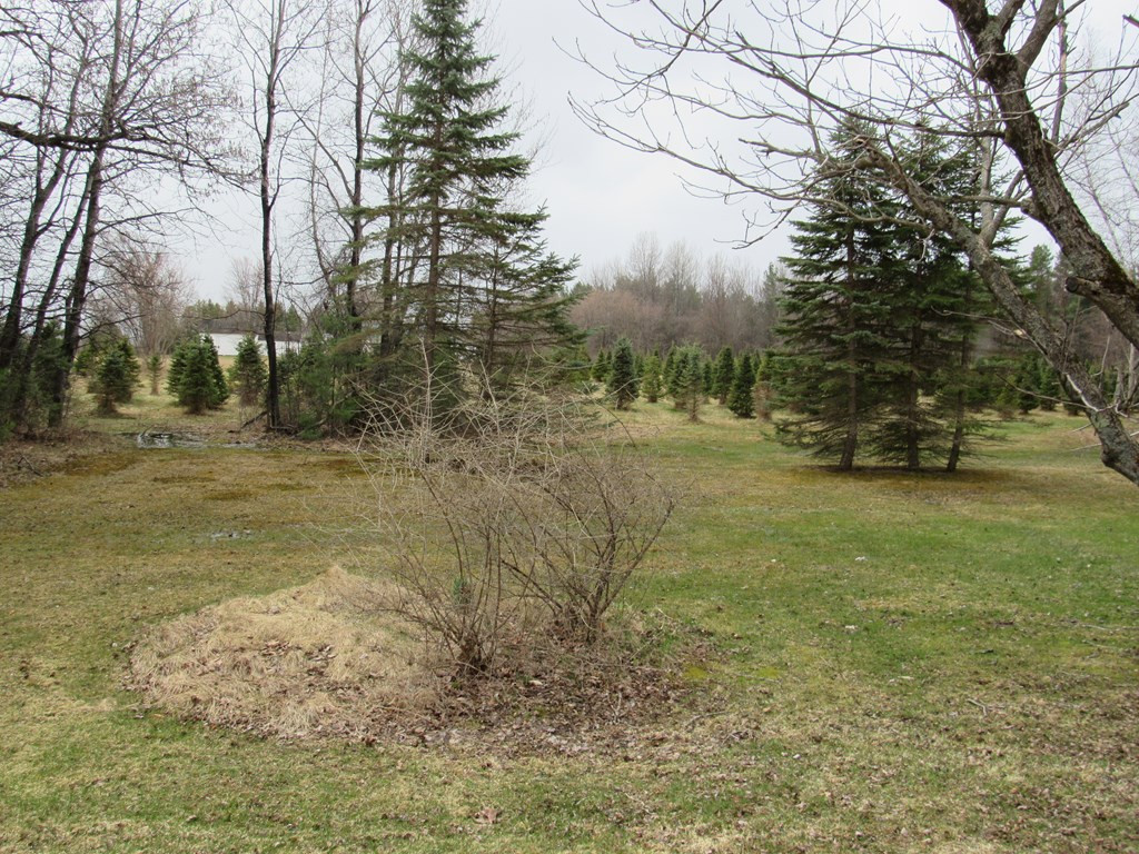 291 Clark Road Peru, NY 12972 - Photo 37 of 49