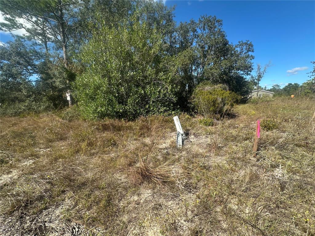 Northeast 64th Place Williston, FL 32696 - Photo 11 of 17