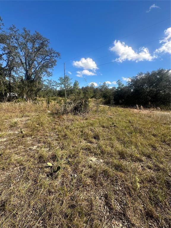 Northeast 64th Place Williston, FL 32696 - Photo 15 of 17