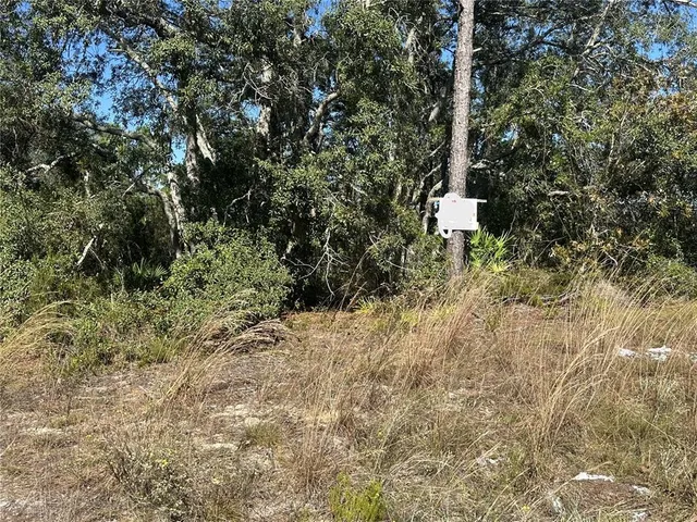 a view of a yard with plants