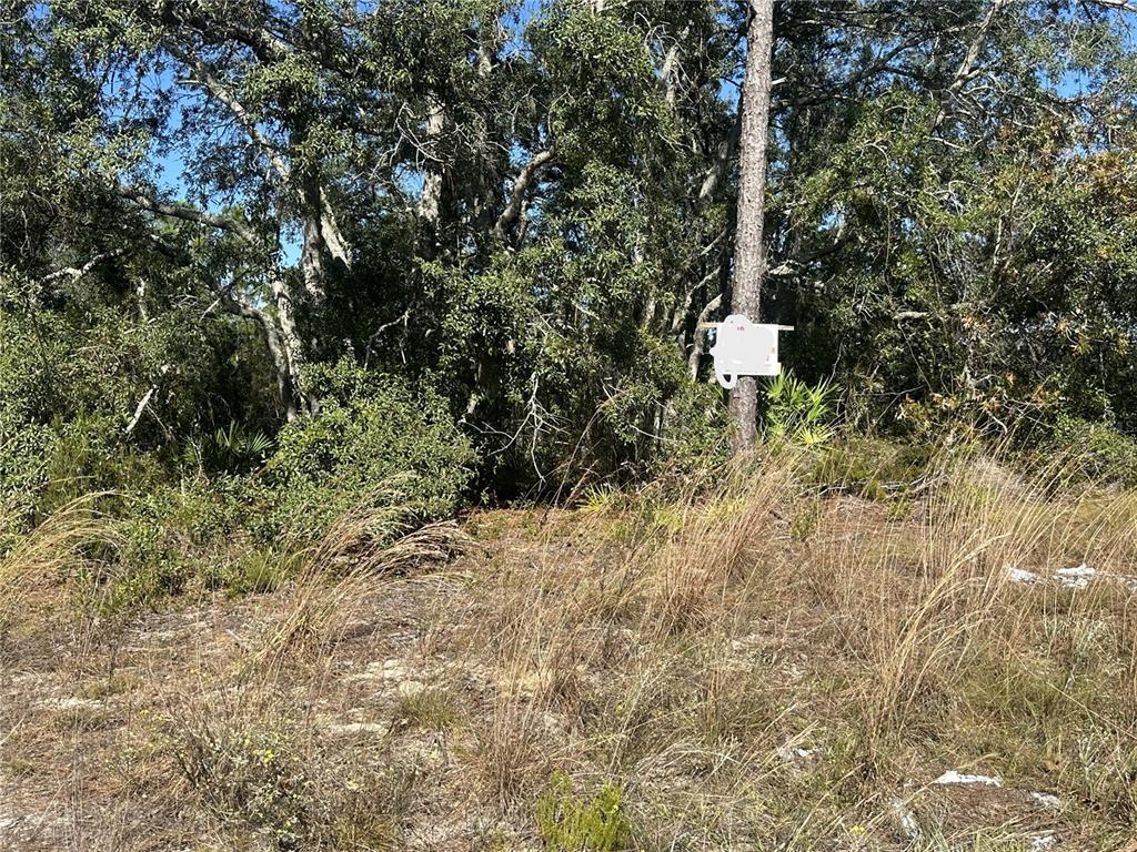 Northeast 64th Place Williston, FL 32696 - Photo 2 of 17