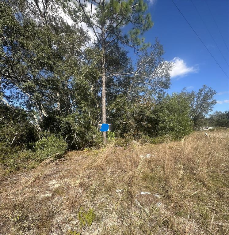 Northeast 64th Place Williston, FL 32696 - Photo 3 of 17