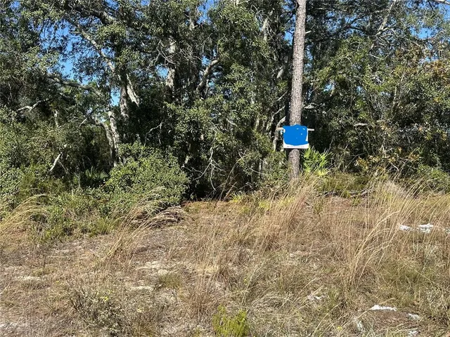 a view of street from a tree