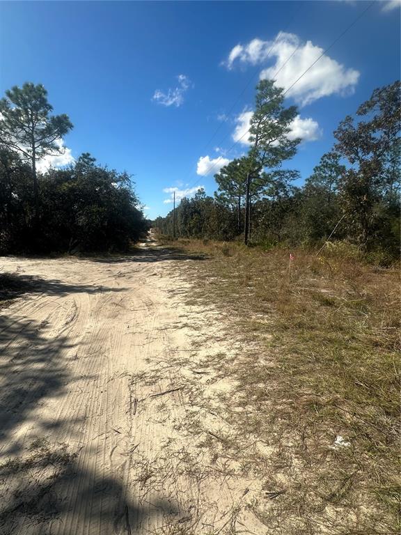 Northeast 64th Place Williston, FL 32696 - Photo 5 of 17