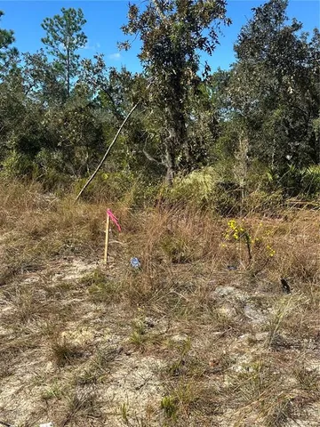 a backyard of a house with a yard