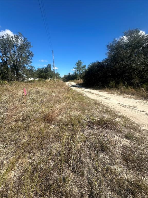 Northeast 64th Place Williston, FL 32696 - Photo 9 of 17
