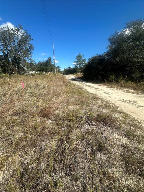 Northeast 64th Place Williston, FL 32696 - Photo 10 of 17