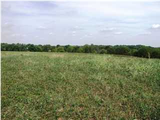 11781 Covered Bridge Road Prospect, KY 40059 - Photo 1 of 1 Primary Photo