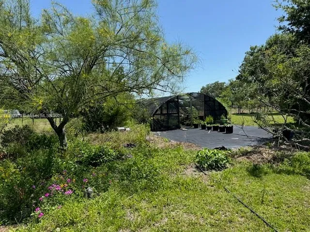 a view of street with tall trees
