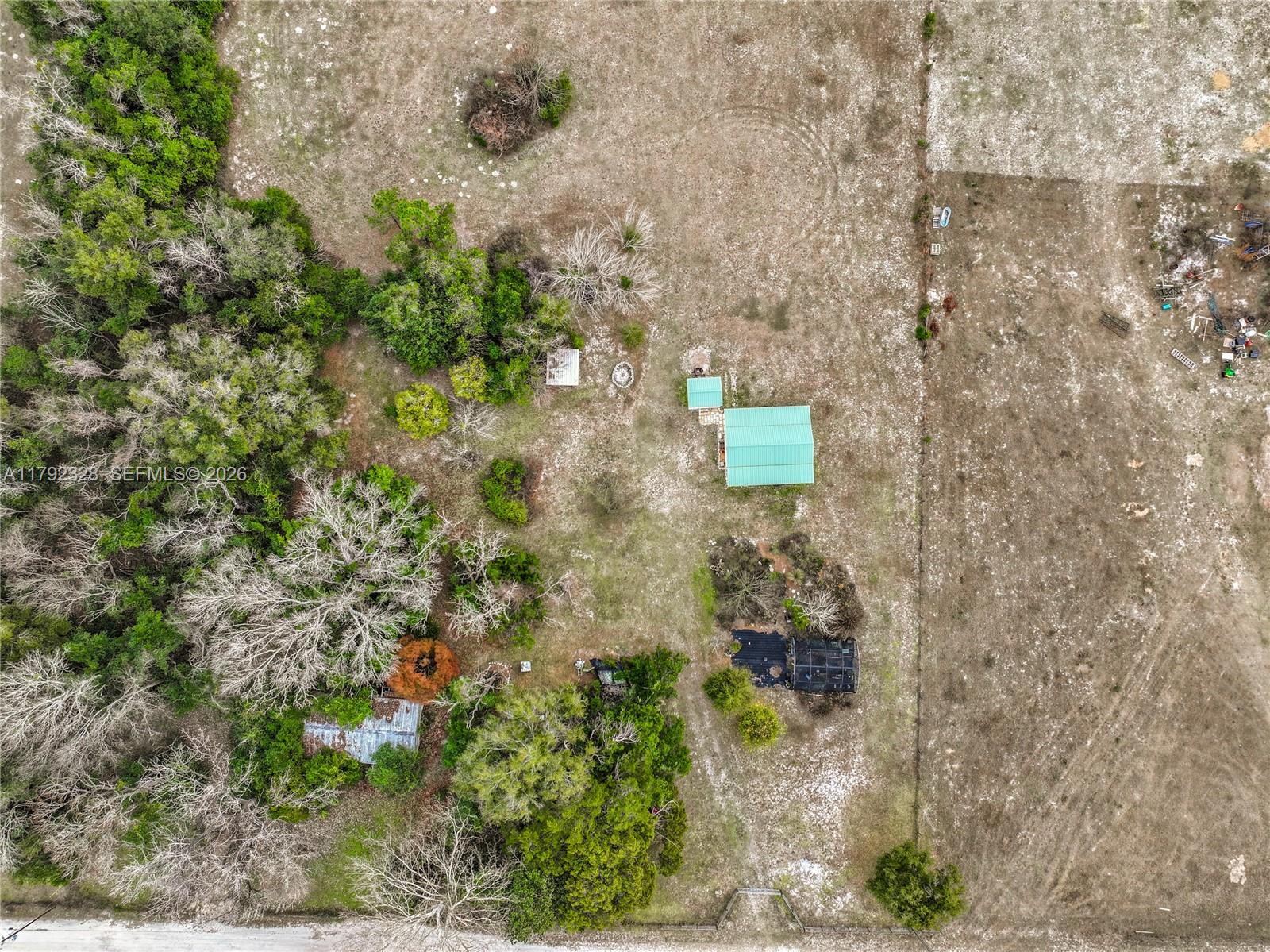 3725 Southwest 162nd Street Archer, FL 32618 - Photo 45 of 48 a picture of a tree in a forest