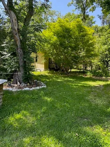 a view of a backyard with large trees