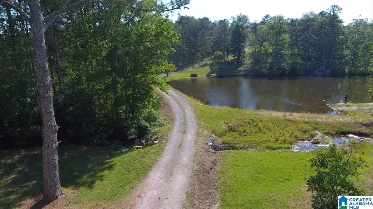 1825 Lynch Lake Road Odenville, AL 35120 - Photo 23 of 27