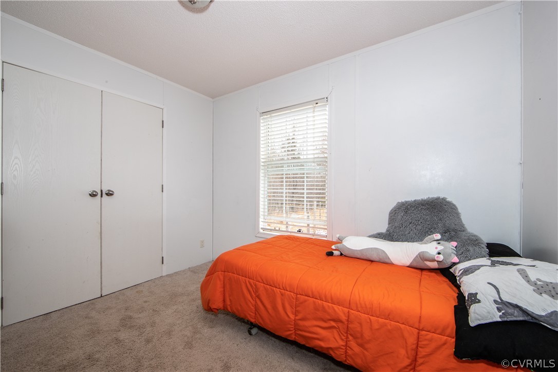 38 Bonbrook Creek Road Cumberland, VA 23040 - Photo 18 of 25 Bedroom 3 has carpet and a large closet.