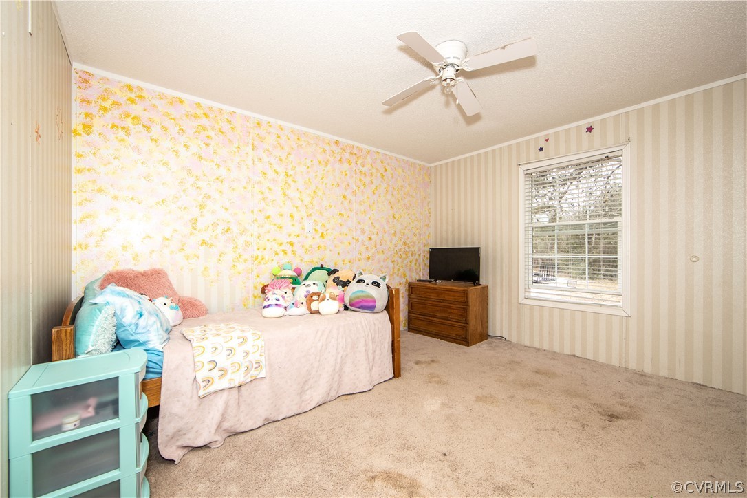 38 Bonbrook Creek Road Cumberland, VA 23040 - Photo 19 of 25 Bedroom 4 has carpet and a ceiling fan.