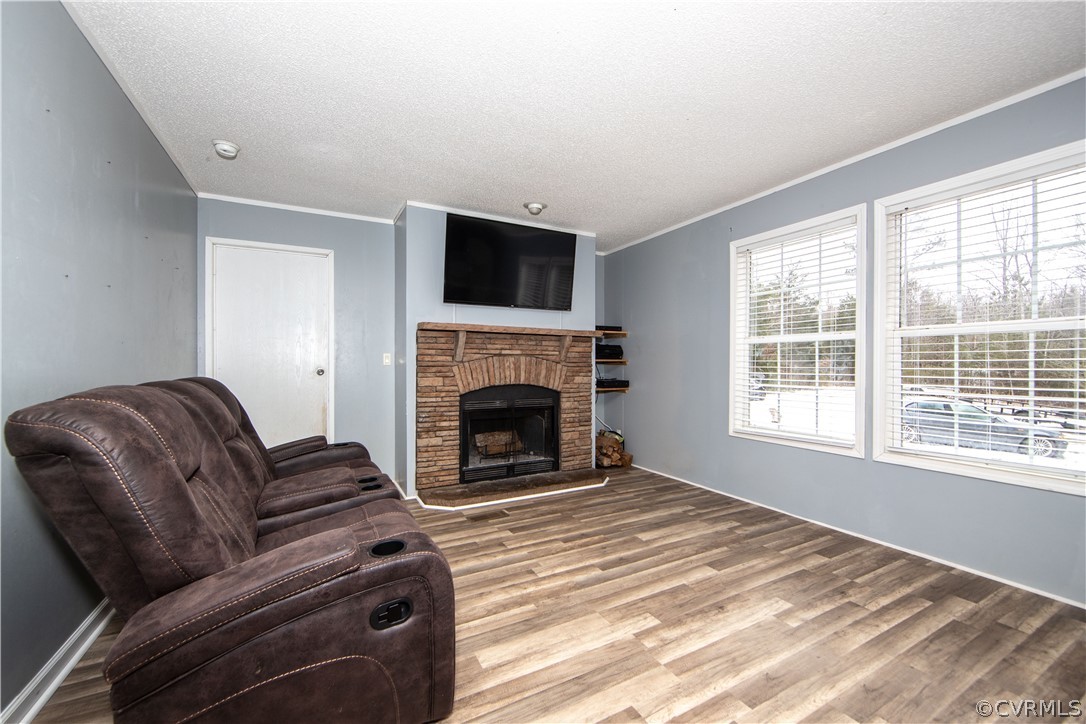 38 Bonbrook Creek Road Cumberland, VA 23040 - Photo 3 of 25 The living room has large windows that allow lots of natural light in this space.