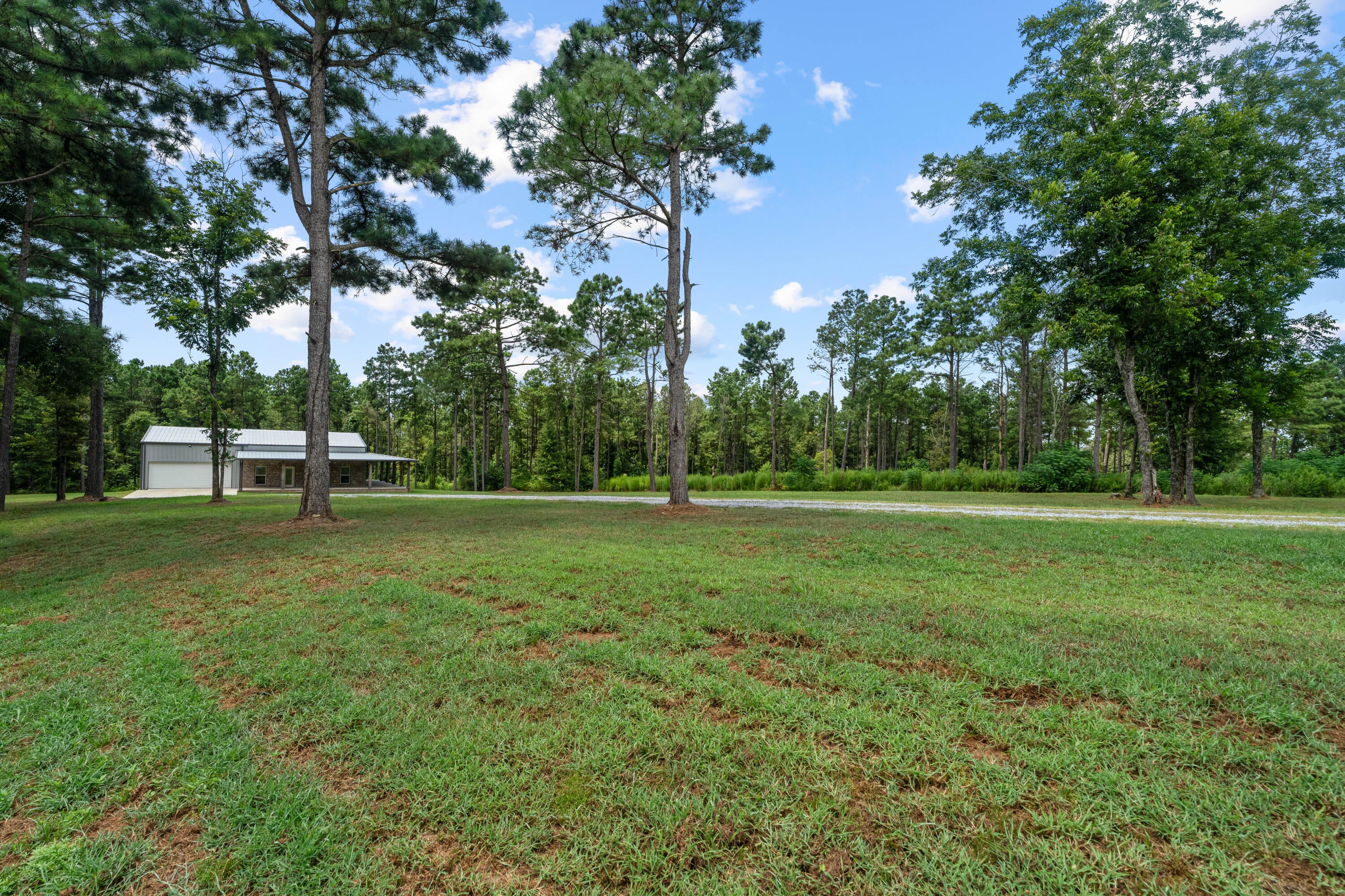 270 Ray Harvey Road Seminary, MS 39479 - Photo 1 of 38 Gallery Image 1