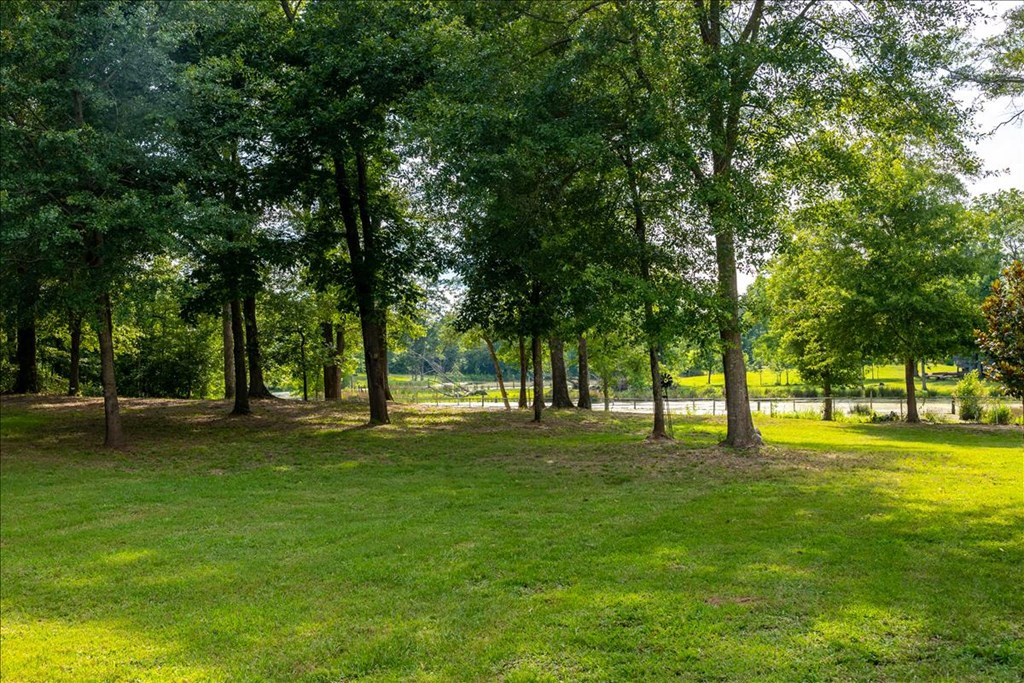 3017 Springhill Church Road Hephzibah, GA 30815 - Photo 29 of 30 Rear yard