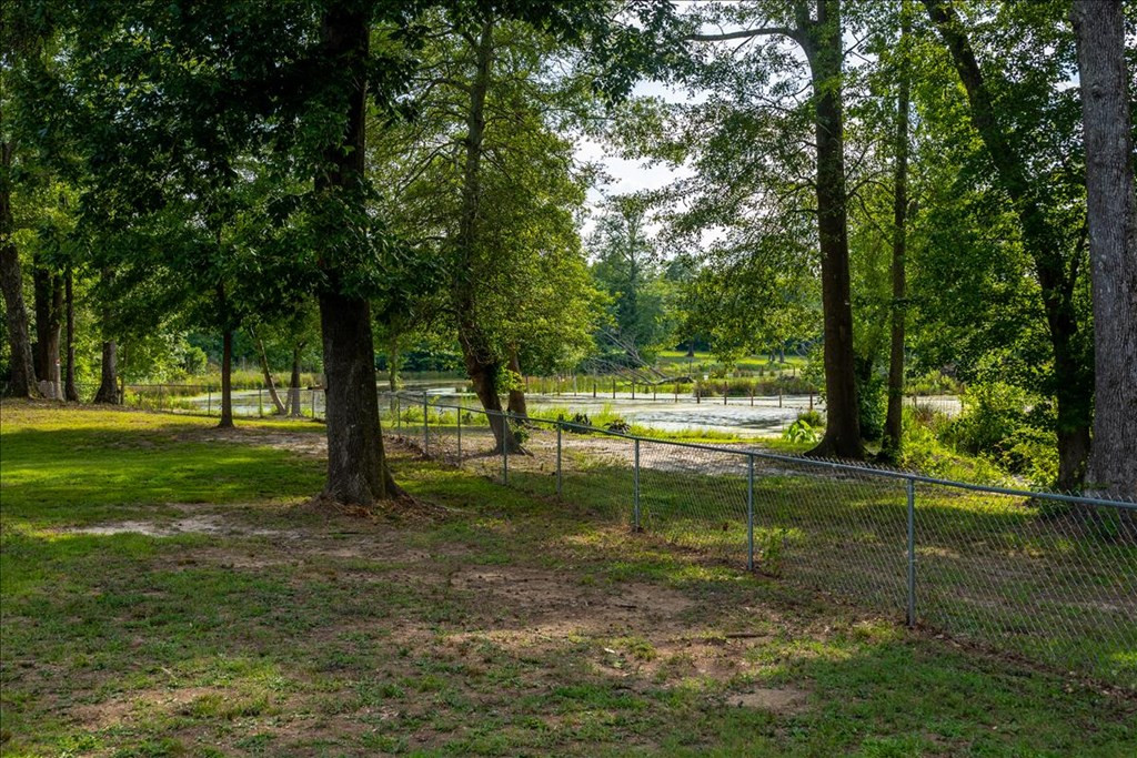 3017 Springhill Church Road Hephzibah, GA 30815 - Photo 30 of 30 Rear yard pond