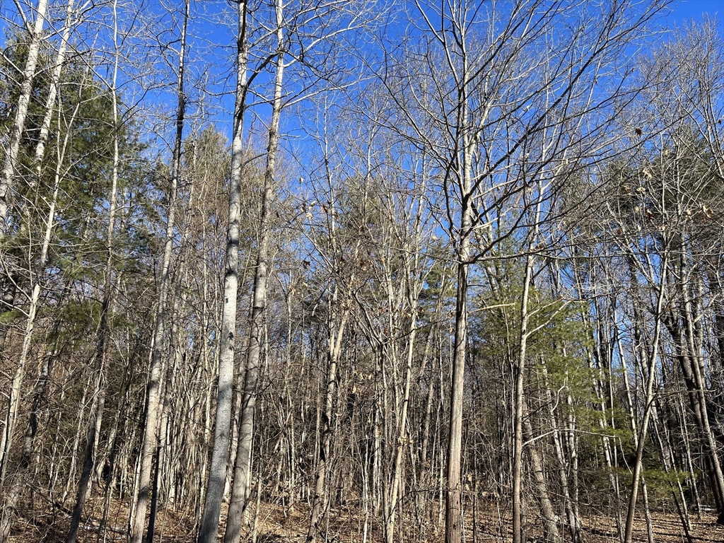 0 Hathaway Road Westhampton, MA 01027 - Photo 3 of 8