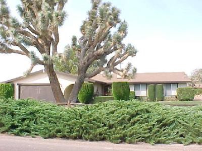 20239 Modoc Road Apple Valley, CA 92308 - Photo 1 of 1 a front view of a house with garden
