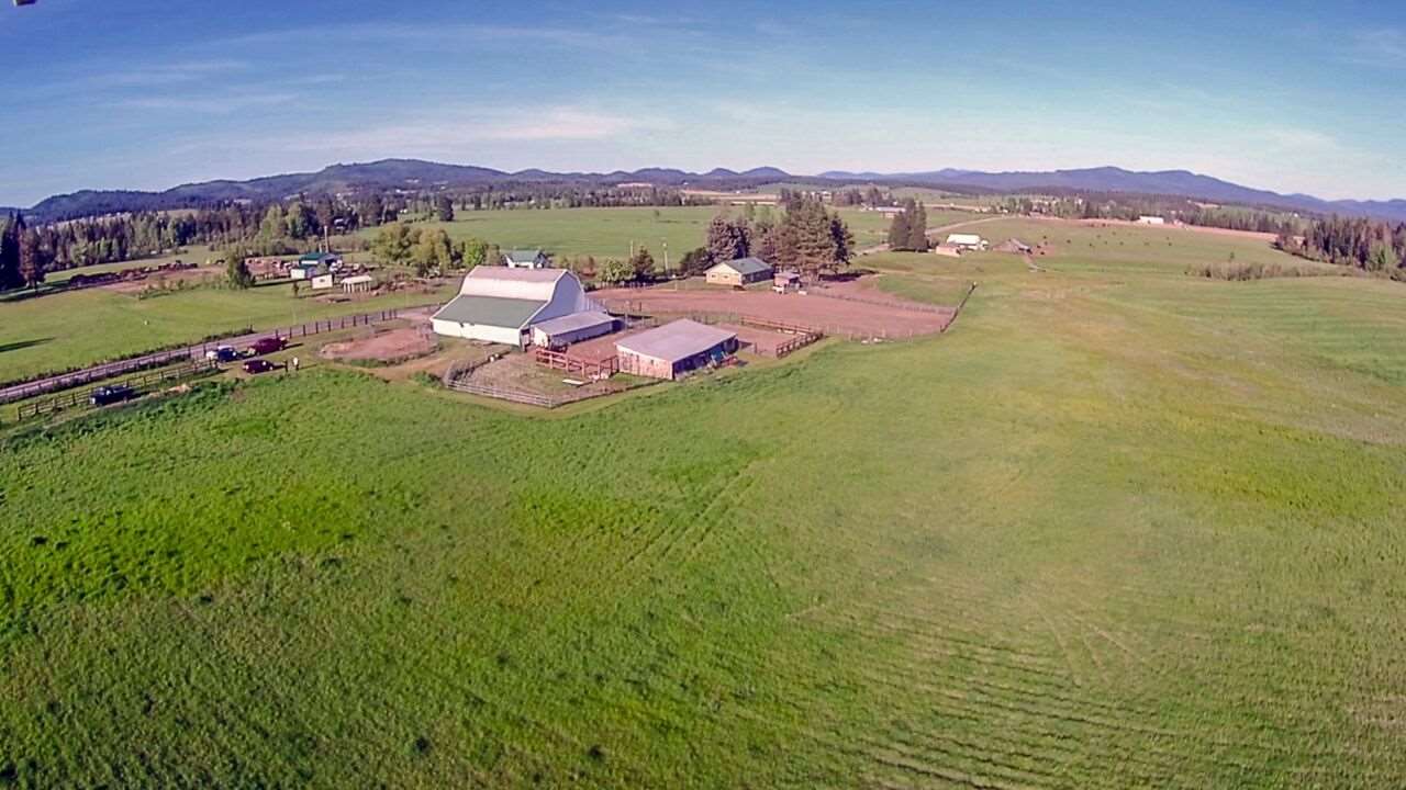 6412 East Oregon Road Elk, WA 99009 - Photo 19 of 20