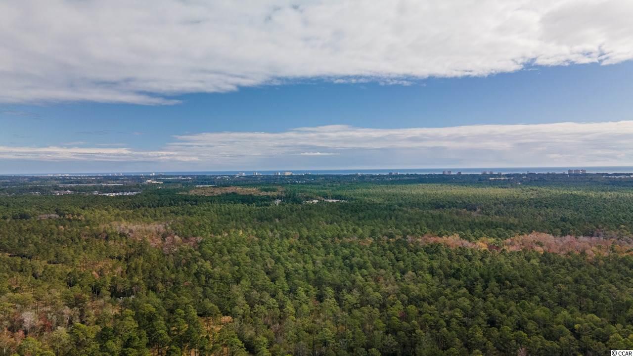 2830 Water Tower Road Longs, SC 29568 - Photo 39 of 40 Gallery Image 39