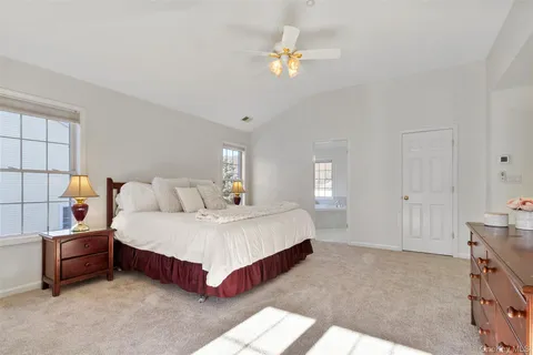 a bathroom with a bed and a chandelier