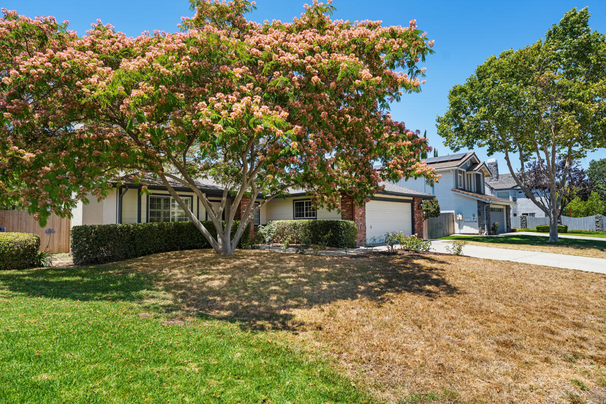 203 Vester Sted Solvang, CA 93463 - Photo 40 of 66 _ROY5991