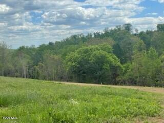 Lot 2 Clark Road Rutledge, TN 37861 - Photo 4 of 8 Lot 2.3