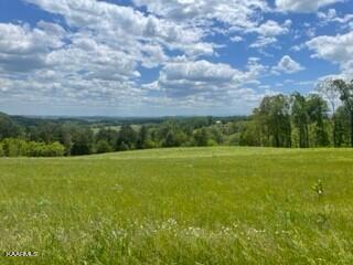 Lot 2 Clark Road Rutledge, TN 37861 - Photo 5 of 8 lot 2.5