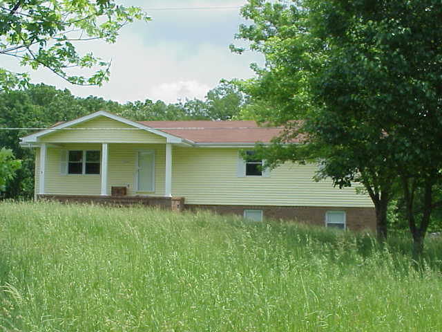 Primary Photo